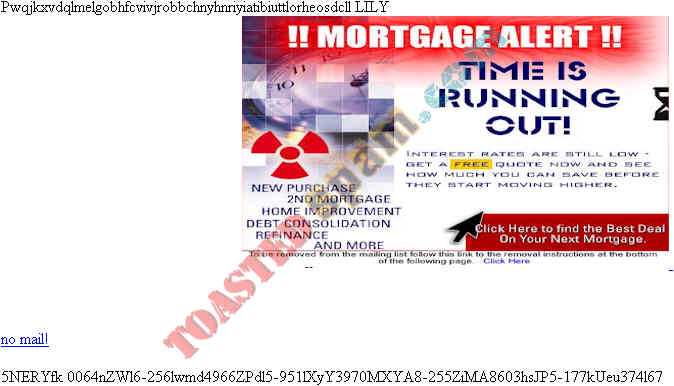 toastedspam.com lowratemortgage.info 0015 - 2003-03-10	mortgage - www.lowratemortgage.info mailto:ttt906@hotmail.com 416-502-2150