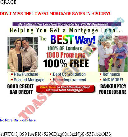 toastedspam.com n0hastlem0rtgage.com 0001 - 2003-04-04	mortgage - www.n0hastlem0rtgage.com mailto:vialead@yahoo.com 916-123-4567